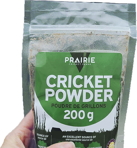 -e-Cricket-Powder-Home